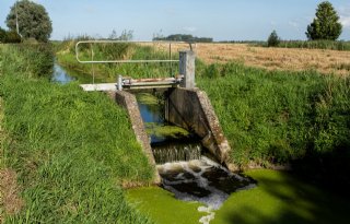 Water Twentekanaal weer bijna schoon genoeg voor landbouw en natuur