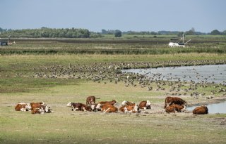 LTO: vormgeving nationale parken is bedreiging voor landbouw