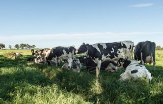 Omzet, areaal en aantal bedrijven biodynamische sector groeien