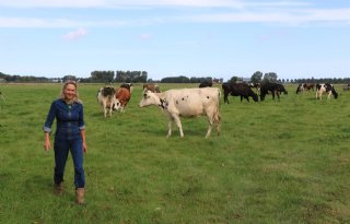 App De Groene Winkelkar brengt boer en consument bij elkaar