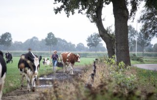 Sallandse ondernemer richt zich op mentaal welzijn boeren