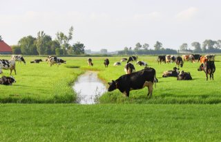 'Derogatiecontrole is complex en foutje is snel gemaakt'