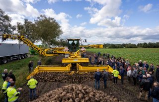 Eerste Noord-Nederlandse bietenmuis van start