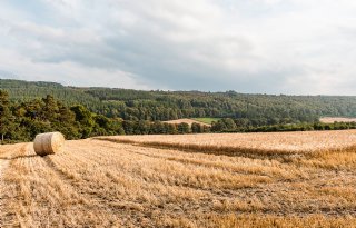 Britse boeren eisen een basisinkomen