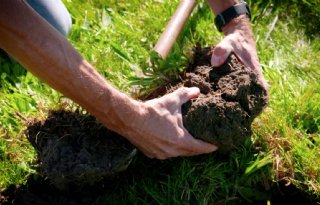 Gras en weidegang vormen de basis voor de melkveehouderij