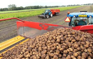 Stichting TBM beschermt al vijftig jaar zetmeelteelt