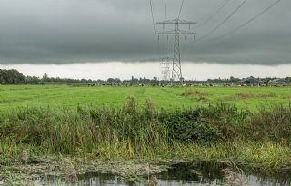 Opgave natuurherstel is fors, maar veel gebeurt al