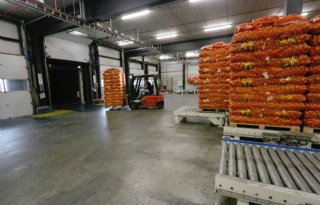 Uienfabriek van MSP draait op volle capaciteit