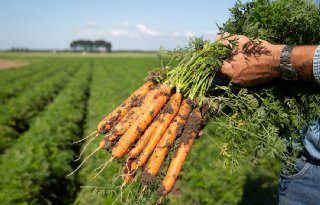 Biologische telerscoöperatie Nautilus Organic stopt ermee