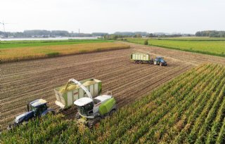 Toekomstvisie op rivierengebied beperkt landbouw in uiterwaarden