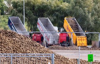 Suikerfabrieken draaien weer op volle toeren