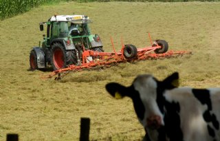 Warmte geeft problemen bij bewaring veevoer