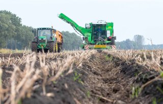 Zetmeelaardappelteler tevreden over oogst na lastig seizoen