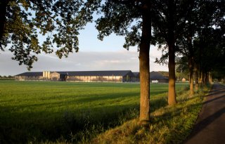 Minder kans op ziekteoverdracht bij minder, maar grotere bedrijven