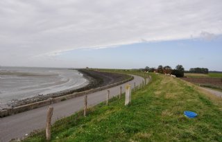 Zeeland heeft grootste toename stikstofdepositie