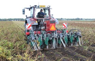 Alternatieve methode voor loofdoden heeft kans