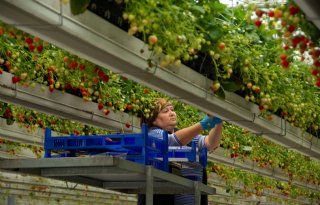 'Kijk naar arbeid als menselijk kapitaal'