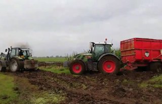 Late zaai door vocht leidt tot late maisoogst met vocht