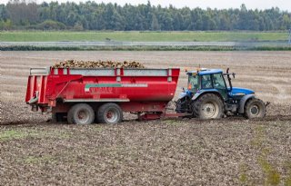 Tarrapercentage loopt op in bietencampagne