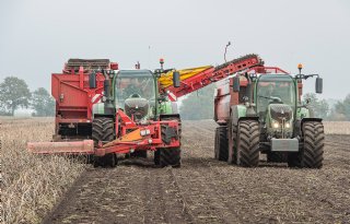 Nattigheid zorgt voor buikpijn bij aardappeltelers: 'Het wordt spannend'