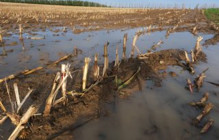 Drents-Overijssels waterschap voert water af om overlast te voorkomen