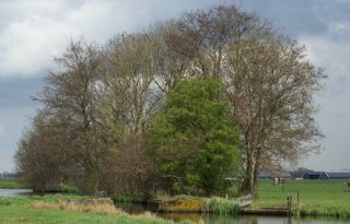 Waarde van kleine landschapselementen steeds meer aangetoond