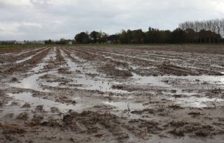 'Waterschap Limburg debet aan ondergelopen akkers en weilanden'