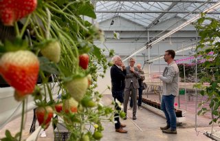 'Agrariërs die in hun hoofd al zijn gestopt zitten soms in de weg'