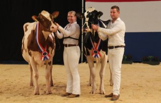 Heerenbrink Angelina en Twente Dairies Incredibull Mel algemeen kampioenen HHH