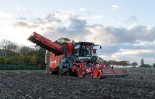 Moeilijke oogst geeft aardappelmarkt een zetje