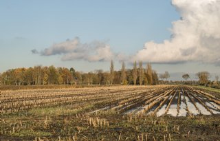 Provincies klagen over lage rijksbedragen voor landelijk gebied