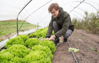 Brabantse Agrifoodpluim uitgereikt aan Ekoto