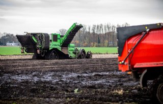 Akkerbouwer Kremer: 'Laat het alsjeblieft niet gaan vriezen'