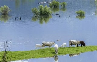 Duitse watergolf leidt in Nederland niet tot grote problemen