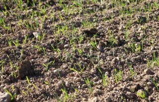 Overvloedige regenval baart zorgen in West-Europa