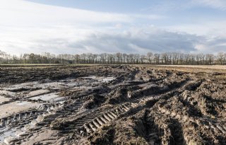 Kletsnatte herfst laat diepe sporen na