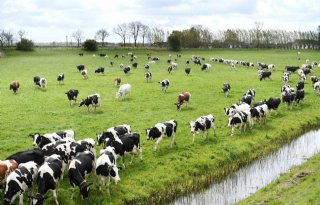 Maatregelen voor verbeteren bodem- en waterkwaliteit