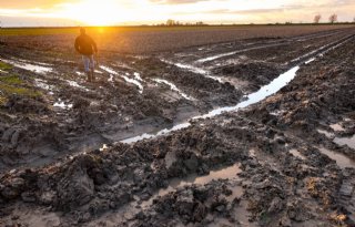 Ruim honderd akkerbouwers melden waterschade