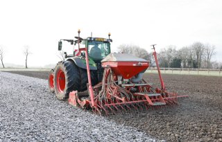 Grote zorgen om achterstand inzaai wintertarwe