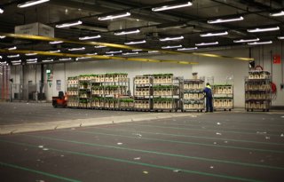 FloraHolland wil centraal veilen in 2024 sterk uitbreiden