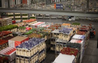 FloraHolland in Rijnsburg volledig over op tijdvakleveren