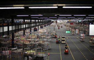 FloraHolland ziet positieve prijsvorming bij bloemen