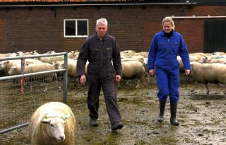 GD onderzoekt ontwikkeling blauwtongbesmettingen