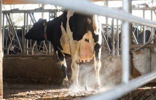 Tien melkveehouders gaan effect additief op mestkwaliteit en methaanuitstoot testen