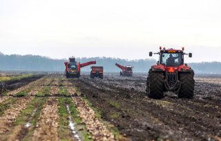 Natte uien inschuren in december: '1998 peanuts vergeleken met dit jaar'