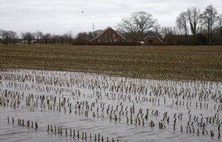 Agriver pleit voor verzekering tegen langdurige neerslag