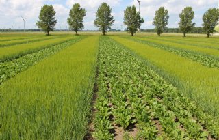 Limburgse akkerbouwers en tuinders toetsen biodiversiteit