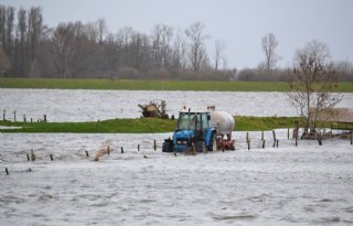 Trekker krijgt melk niet weg door hoge waterstand