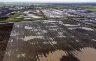 Veel boeren leggen buffer aan voor opvang tegenvallers