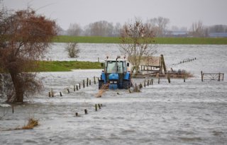 Trekker krijgt melk eindelijk bij tankwagen